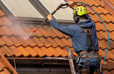 Démoussage et hydrofuge de toiture à Vialas